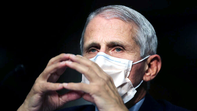 Fauci Mask Blank Meme Template