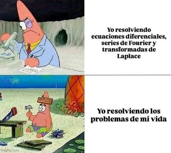 9fbx6v.jpg