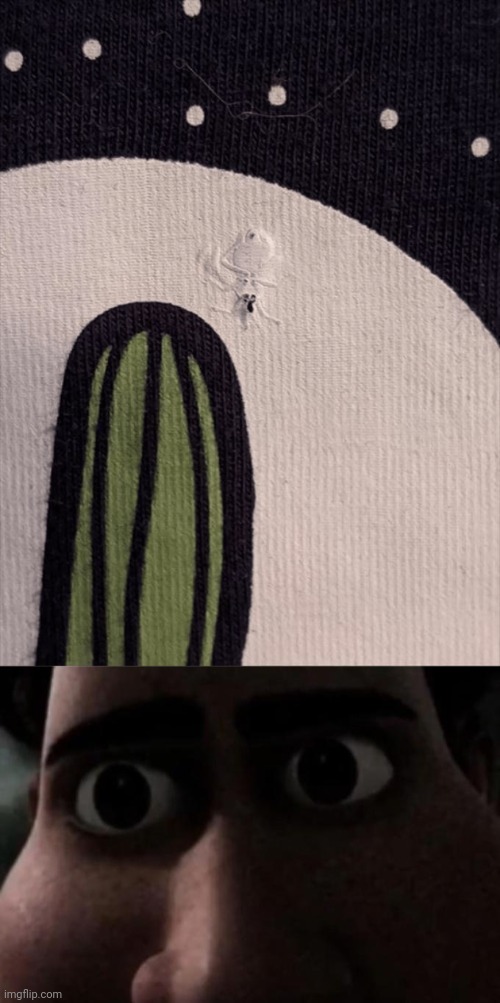 Insect spotted | image tagged in titan stare,bug,insect,bugs,you had one job,memes | made w/ Imgflip meme maker