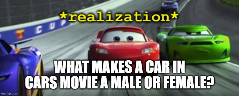 srsly, im out of ideas | WHAT MAKES A CAR IN CARS MOVIE A MALE OR FEMALE? | image tagged in realization | made w/ Imgflip meme maker