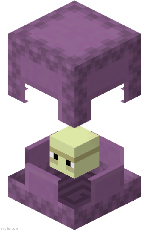 Shulker | image tagged in shulker | made w/ Imgflip meme maker