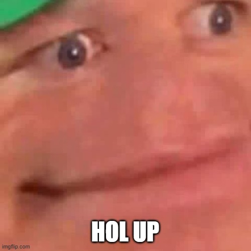 Wait Hol Up | HOL UP | image tagged in wait hol up | made w/ Imgflip meme maker