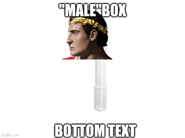 "MALE"BOX BOTTOM TEXT | made w/ Imgflip meme maker