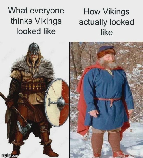 Vikings | image tagged in viking,vikings,reposts,repost,memes,looks | made w/ Imgflip meme maker