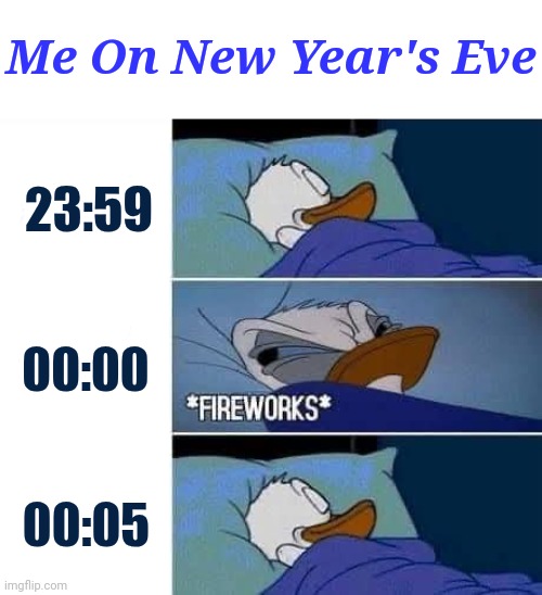 No joke | Me On New Year's Eve; 23:59; 00:00; 00:05 | image tagged in memes,happy new years,2025,fireworks,meme,new years | made w/ Imgflip meme maker