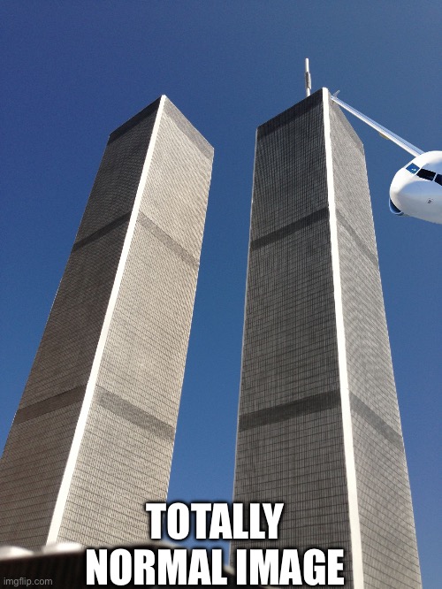 Twin Towers | TOTALLY NORMAL IMAGE | image tagged in twin towers | made w/ Imgflip meme maker