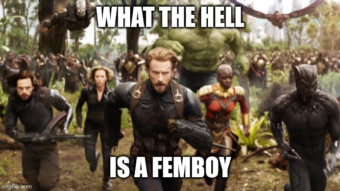 Avengers Infinity War Running | WHAT THE HELL IS A FEMBOY | image tagged in avengers infinity war running | made w/ Imgflip meme maker