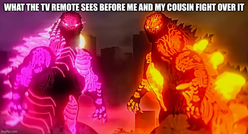 Accurate about me and my cousin | WHAT THE TV REMOTE SEES BEFORE ME AND MY COUSIN FIGHT OVER IT | image tagged in godzilla staring | made w/ Imgflip meme maker