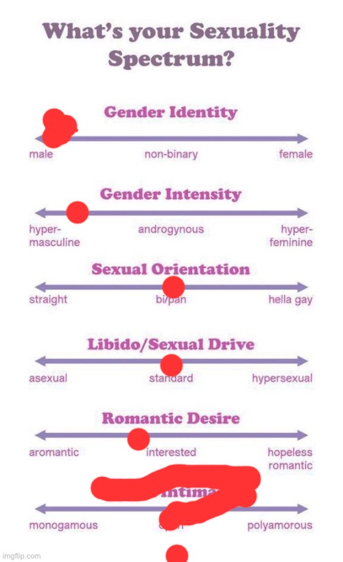 What's your sexuality spectrum? | image tagged in what's your sexuality spectrum | made w/ Imgflip meme maker