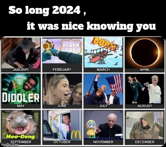 Somebody had to do it | So long 2024 , it was nice knowing you | image tagged in blank black,happy new year,looking back,year in review,new year resolutions,well yes but actually no | made w/ Imgflip meme maker