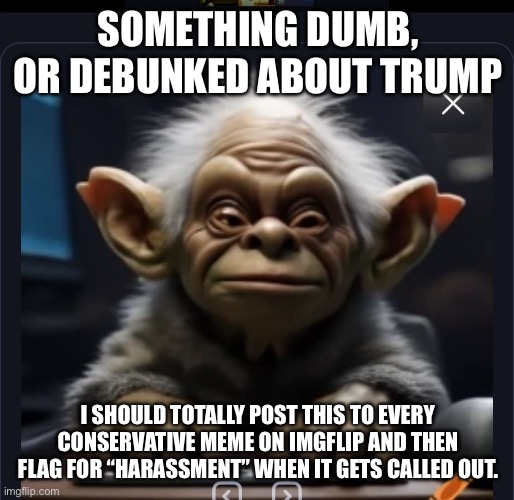 How certain leftists are on Imgflip | SOMETHING DUMB, OR DEBUNKED ABOUT TRUMP; I SHOULD TOTALLY POST THIS TO EVERY CONSERVATIVE MEME ON IMGFLIP AND THEN FLAG FOR “HARASSMENT” WHEN IT GETS CALLED OUT. | made w/ Imgflip meme maker