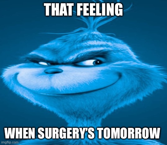 Blue Grinch | THAT FEELING; WHEN SURGERY’S TOMORROW | image tagged in blue grinch | made w/ Imgflip meme maker