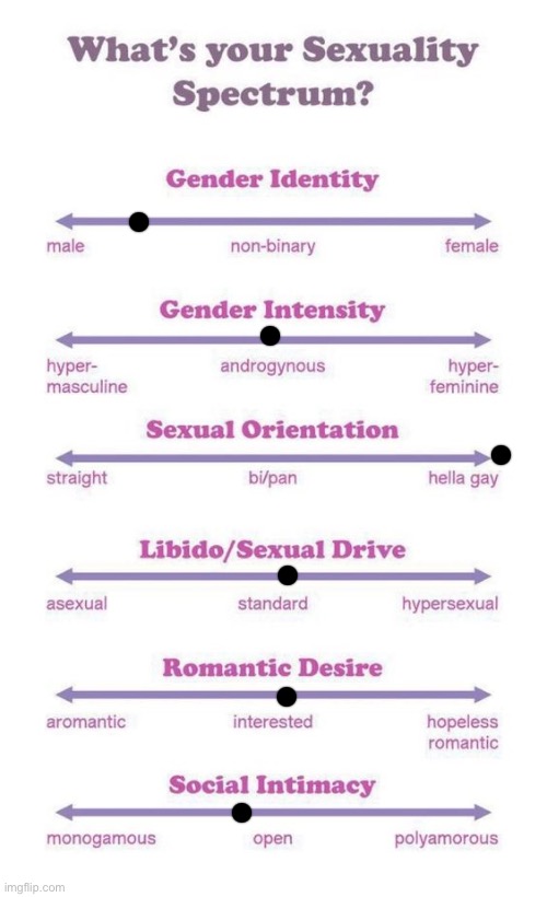 X3 | image tagged in what's your sexuality spectrum | made w/ Imgflip meme maker