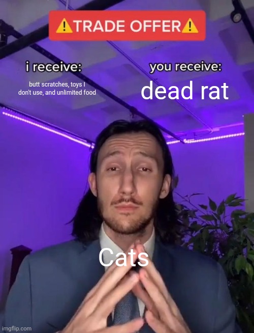 This Is Why We Love Cats | butt scratches, toys I don't use, and unlimited food; dead rat; Cats | image tagged in trade offer | made w/ Imgflip meme maker