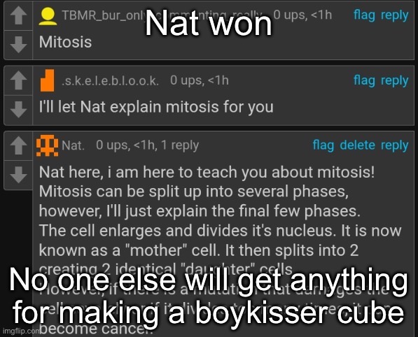 Mitosis | Nat won; No one else will get anything for making a boykisser cube | image tagged in mitosis | made w/ Imgflip meme maker