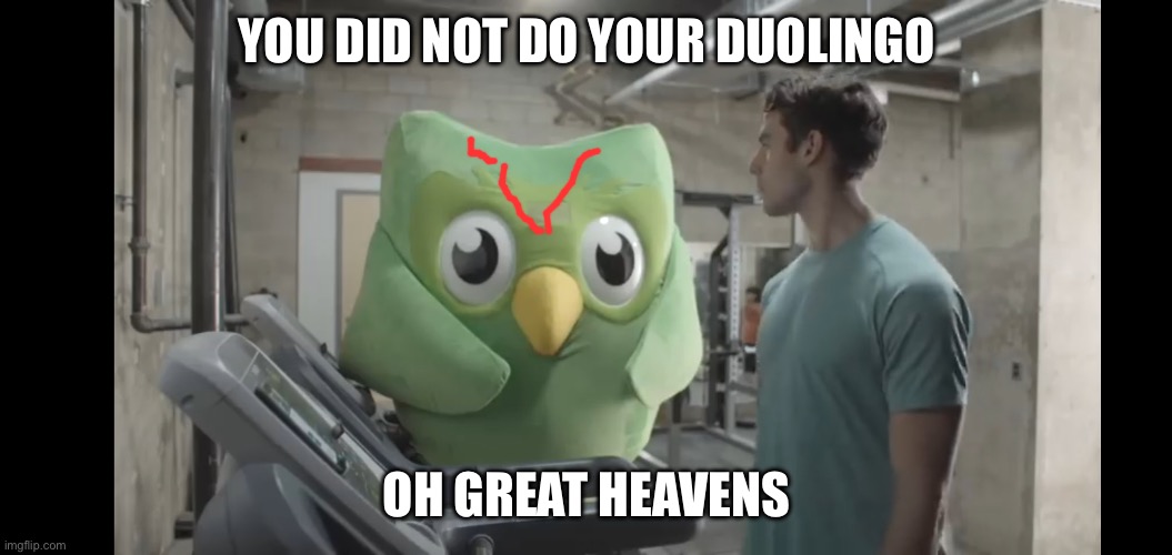 At the gym | YOU DID NOT DO YOUR DUOLINGO; OH GREAT HEAVENS | image tagged in at the gym | made w/ Imgflip meme maker