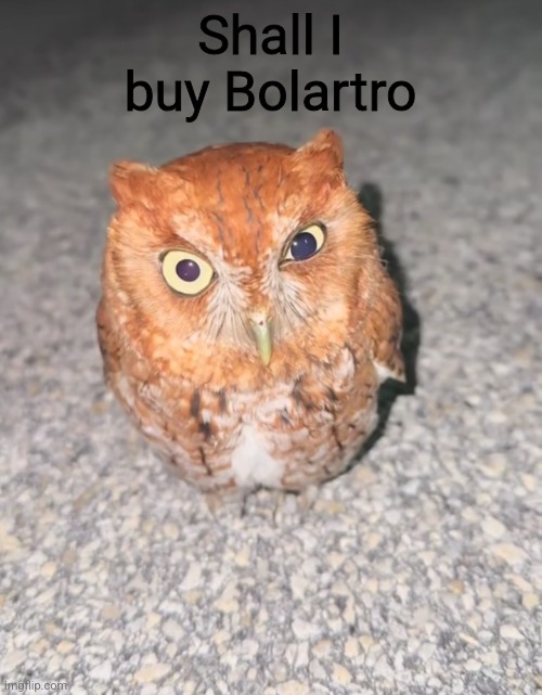 Shall I buy Bolartro | made w/ Imgflip meme maker