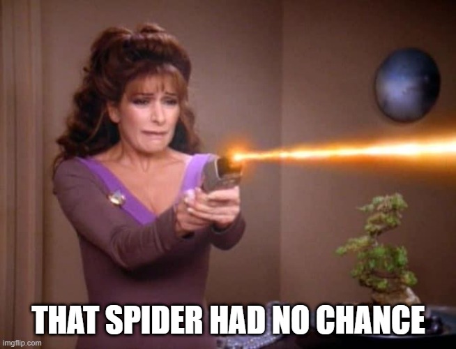 Eek Spider | THAT SPIDER HAD NO CHANCE | image tagged in laser troi | made w/ Imgflip meme maker