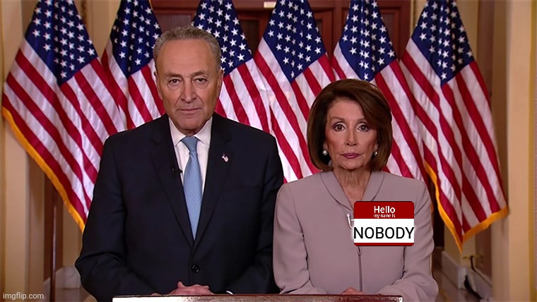 Pelosi and Schumer | NOBODY | image tagged in pelosi and schumer | made w/ Imgflip meme maker