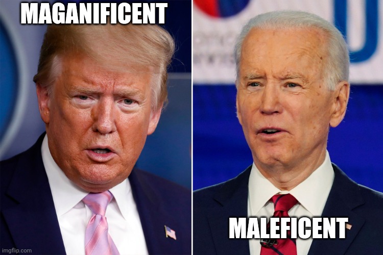 Donald Trump and Joe Biden | MAGANIFICENT MALEFICENT | image tagged in donald trump and joe biden | made w/ Imgflip meme maker