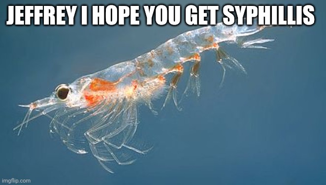 krill | JEFFREY I HOPE YOU GET SYPHILLIS | image tagged in krill | made w/ Imgflip meme maker