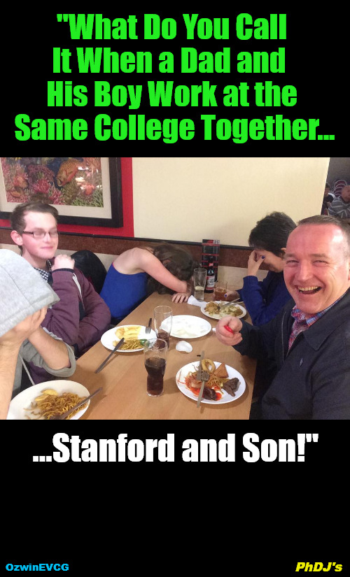 PhDJ's | "What Do You Call 

It When a Dad and  

His Boy Work at the 

Same College Together... ...Stanford and Son!"; PhDJ's; OzwinEVCG | image tagged in dad joke meme,what do you call it,work life,family life,sanford and son,stanford and son | made w/ Imgflip meme maker