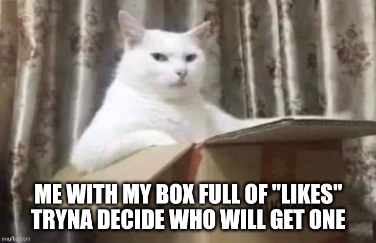 Likes | ME WITH MY BOX FULL OF "LIKES"
TRYNA DECIDE WHO WILL GET ONE | image tagged in chill cat | made w/ Imgflip meme maker