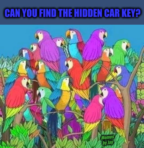 Well? | CAN YOU FIND THE HIDDEN CAR KEY? Memes by Jay | image tagged in games,find,keys | made w/ Imgflip meme maker