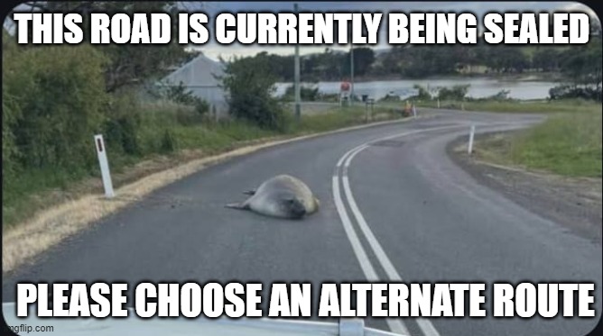 This road is being sealed. | THIS ROAD IS CURRENTLY BEING SEALED; PLEASE CHOOSE AN ALTERNATE ROUTE | image tagged in pun | made w/ Imgflip meme maker