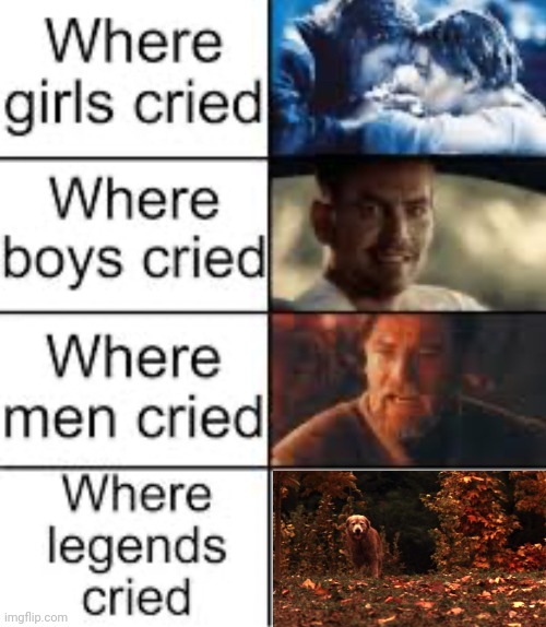 Homeward Bound: The Incredible Journey for anyone wondering | image tagged in where legends cried,homeward bound,sad | made w/ Imgflip meme maker