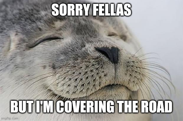 Satisfied Seal Meme | SORRY FELLAS BUT I'M COVERING THE ROAD | image tagged in memes,satisfied seal | made w/ Imgflip meme maker