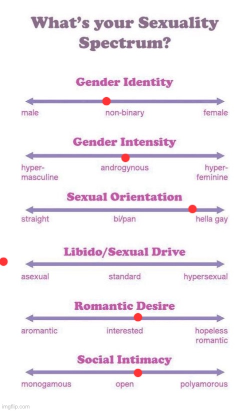 What's your sexuality spectrum? | image tagged in what's your sexuality spectrum | made w/ Imgflip meme maker