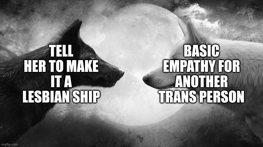 You have two wolves | BASIC EMPATHY FOR ANOTHER TRANS PERSON TELL HER TO MAKE IT A LESBIAN SHIP | image tagged in you have two wolves | made w/ Imgflip meme maker