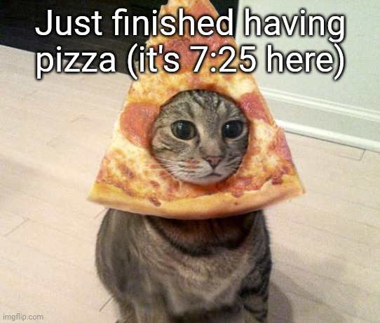 it is not quite new years yet | Just finished having pizza (it's 7:25 here) | image tagged in pizza cat | made w/ Imgflip meme maker