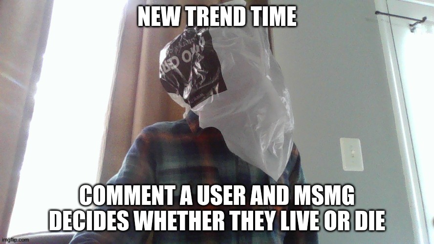dumbass fucking bag photo | NEW TREND TIME; COMMENT A USER AND MSMG DECIDES WHETHER THEY LIVE OR DIE | image tagged in dumbass fucking bag photo | made w/ Imgflip meme maker