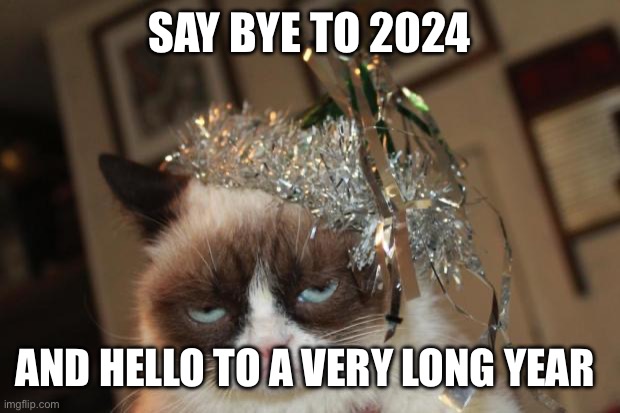 Grumpy Cat New Years | SAY BYE TO 2024; AND HELLO TO A VERY LONG YEAR | image tagged in grumpy cat new years | made w/ Imgflip meme maker