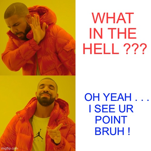 WHAT IN THE
 HELL ??? OH YEAH . . .

I SEE UR 
POINT 
BRUH ! | image tagged in memes,drake hotline bling | made w/ Imgflip meme maker