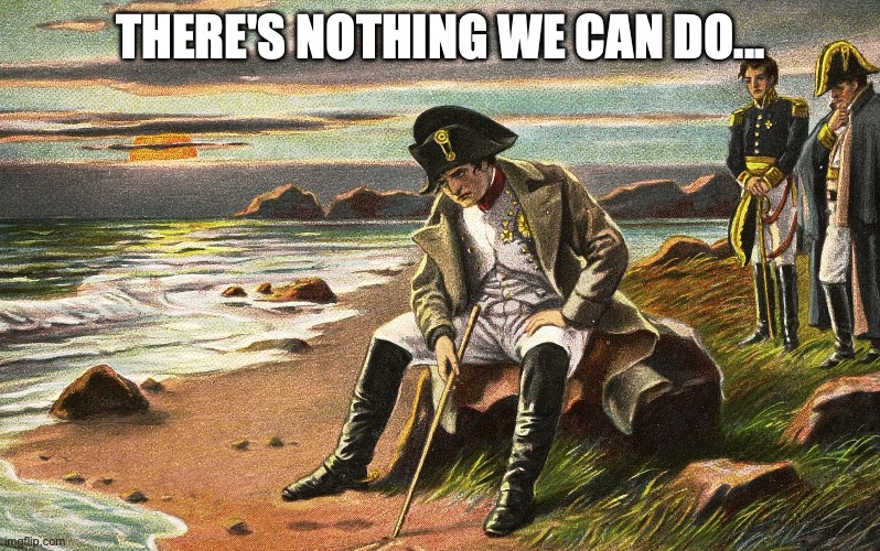 Napoleon | THERE'S NOTHING WE CAN DO... | image tagged in napoleon | made w/ Imgflip meme maker