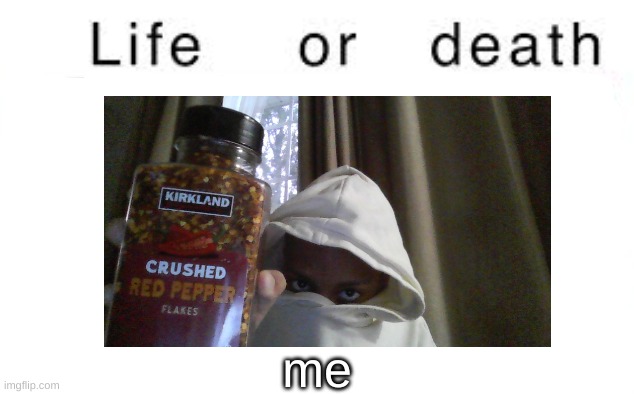 Life or death | me | image tagged in life or death | made w/ Imgflip meme maker
