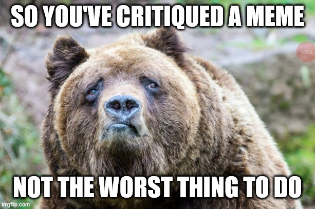 Mildly Disappointed Bear | SO YOU'VE CRITIQUED A MEME NOT THE WORST THING TO DO | image tagged in meme | made w/ Imgflip meme maker