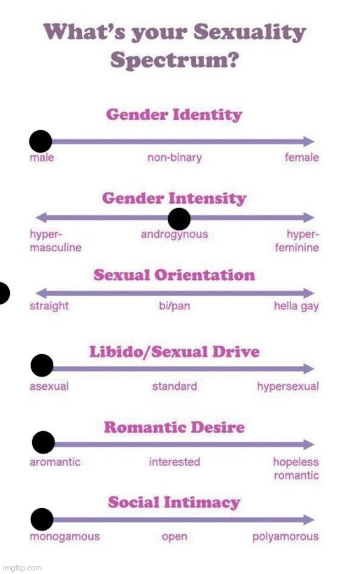 hell yeah | image tagged in what's your sexuality spectrum | made w/ Imgflip meme maker