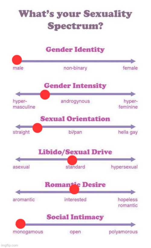 ts fucking sucks | image tagged in what's your sexuality spectrum | made w/ Imgflip meme maker