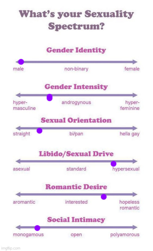 What's your sexuality spectrum? | image tagged in what's your sexuality spectrum | made w/ Imgflip meme maker