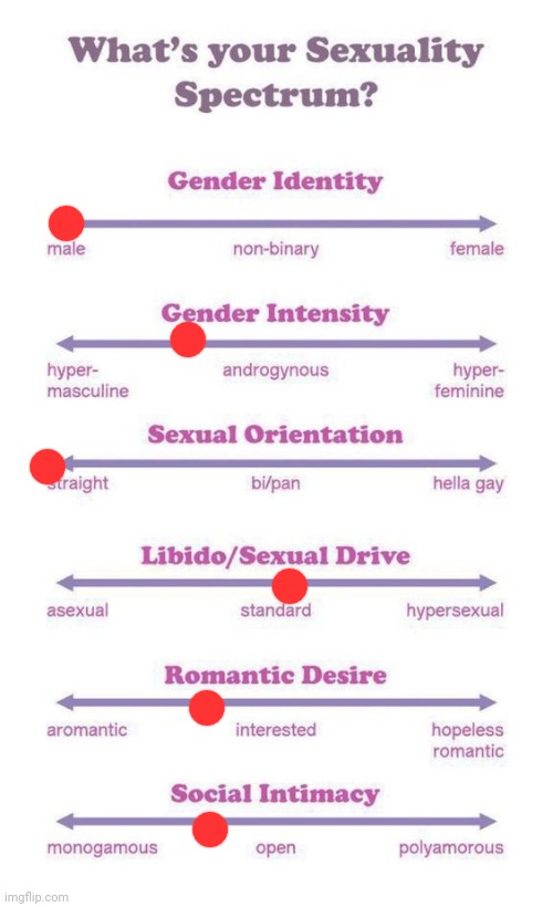 What's your sexuality spectrum? | image tagged in what's your sexuality spectrum | made w/ Imgflip meme maker