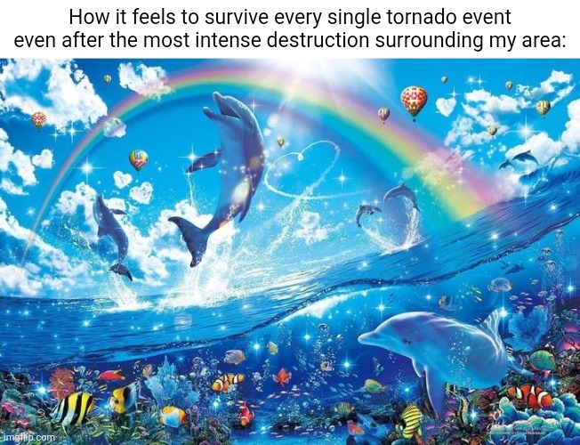 Tornado | How it feels to survive every single tornado event even after the most intense destruction surrounding my area: | image tagged in happy dolphin rainbow,tornado,tornadoes,memes,blank white template,storm | made w/ Imgflip meme maker