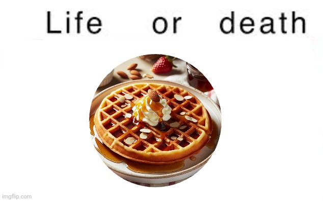 Life or death | image tagged in life or death | made w/ Imgflip meme maker