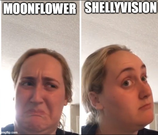 me and ships | SHELLYVISION; MOONFLOWER | image tagged in kombucha girl,dandy's world | made w/ Imgflip meme maker