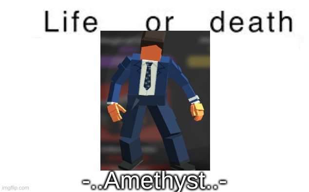 Life or death | -..Amethyst..- | image tagged in life or death | made w/ Imgflip meme maker