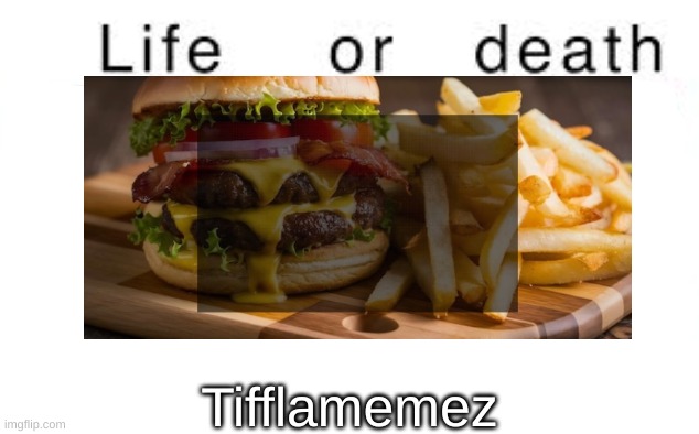 scrumptious fucking burger | Tifflamemez | image tagged in life or death | made w/ Imgflip meme maker