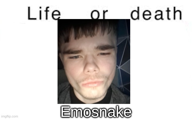 Life or death | Emosnake | image tagged in life or death | made w/ Imgflip meme maker